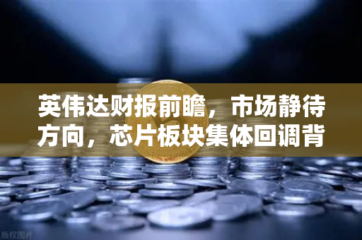 英伟达财报前瞻，市场静待方向，芯片板块集体回调背后的真相