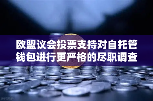 欧盟议会投票支持对自托管钱包进行更严格的尽职调查，加密世界的新变局