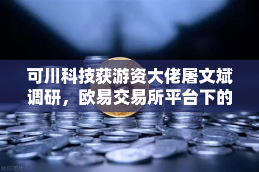 可川科技获游资大佬屠文斌调研，欧易交易所平台下的资本暗流与市场逻辑