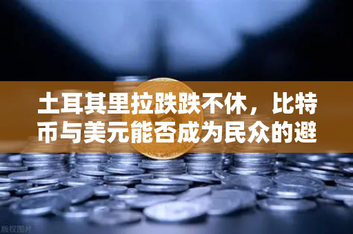 土耳其里拉跌跌不休，比特币与美元能否成为民众的避风港？