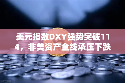 美元指数DXY强势突破114，非美资产全线承压下跌，欧易交易所官网解读全球金融变局