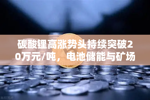 碳酸锂高涨势头持续突破20万元/吨，电池储能与矿场供电成本深度解析-第1张图片-欧易交易所