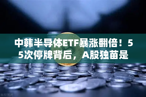 中韩半导体ETF暴涨翻倍！55次停牌背后，A股独苗是馅饼还是陷阱？