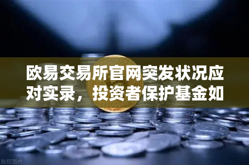 欧易交易所官网突发状况应对实录，投资者保护基金如何为黑天鹅事件兜底-第1张图片-欧易交易所