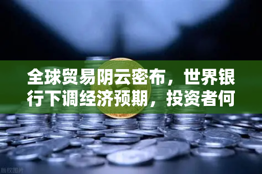 全球贸易阴云密布，世界银行下调经济预期，投资者何去何从？