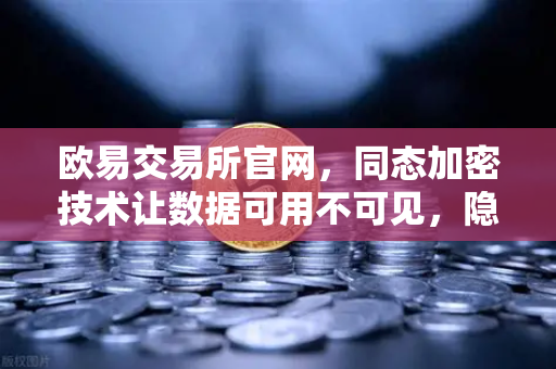 欧易交易所官网，同态加密技术让数据可用不可见，隐私计算的新时代
