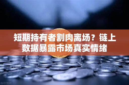 短期持有者割肉离场？链上数据暴露市场真实情绪