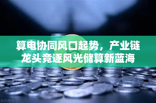 算电协同风口起势，产业链龙头竞逐风光储算新蓝海