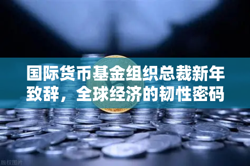 国际货币基金组织总裁新年致辞，全球经济的韧性密码与数字金融新秩序