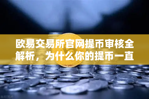欧易交易所官网提币审核全解析，为什么你的提币一直显示审核中？-第1张图片-欧易交易所