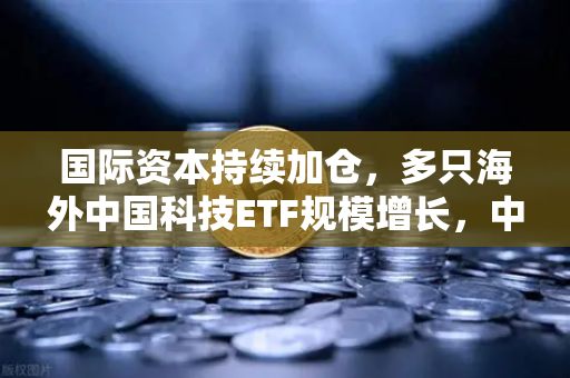 国际资本持续加仓,多只海外中国科技ETF规模增长,中概股与加密资产联动新格局-第1张图片-欧易交易所 国际资本持续加仓,多只海外中国科技ETF规模增长,中概股与加密资产联动新格局-第1张图片-欧易交易所