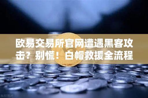 欧易交易所官网遭遇黑客攻击？别慌！白帽救援全流程指南-第1张图片-欧易交易所