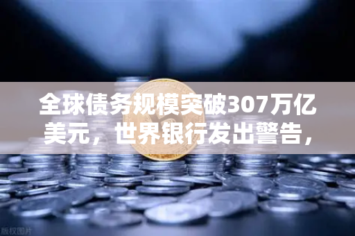 全球债务规模突破307万亿美元，世界银行发出警告，欧易交易所官网深度解读经济危机信号-第1张图片-欧易交易所