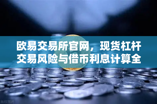 欧易交易所官网，现货杠杆交易风险与借币利息计算全解析-第1张图片-欧易交易所