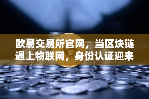 欧易交易所官网，当区块链遇上物联网，身份认证迎来新纪元