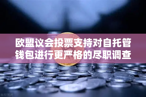 欧盟议会投票支持对自托管钱包进行更严格的尽职调查，加密世界的合规新篇章-第1张图片-欧易交易所