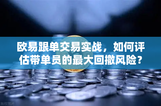欧易跟单交易实战，如何评估带单员的最大回撤风险？-第1张图片-欧易交易所