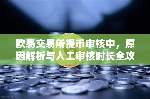 欧易交易所提币审核中，原因解析与人工审核时长全攻略-第1张图片-欧易交易所