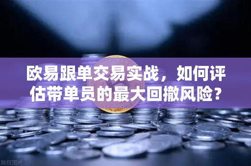 欧易跟单交易实战，如何评估带单员的最大回撤风险？