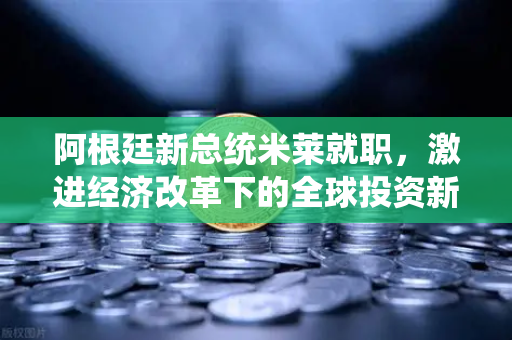 阿根廷新总统米莱就职，激进经济改革下的全球投资新变局