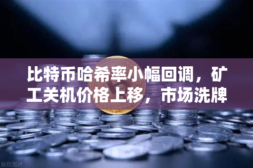 比特币哈希率小幅回调，矿工关机价格上移，市场洗牌信号显现