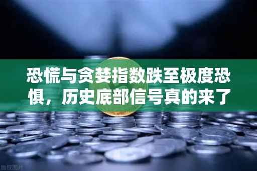 恐慌与贪婪指数跌至极度恐惧，历史底部信号真的来了吗？这些指标你必须看懂