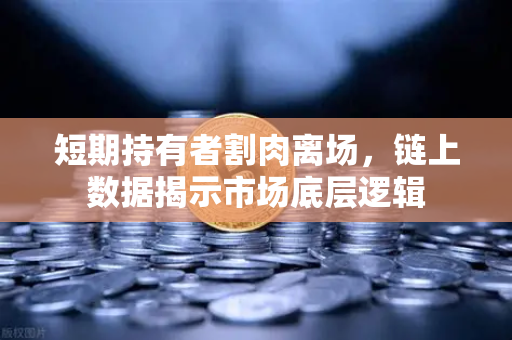 短期持有者割肉离场，链上数据揭示市场底层逻辑