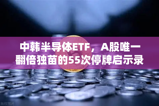 中韩半导体ETF，A股唯一翻倍独苗的55次停牌启示录