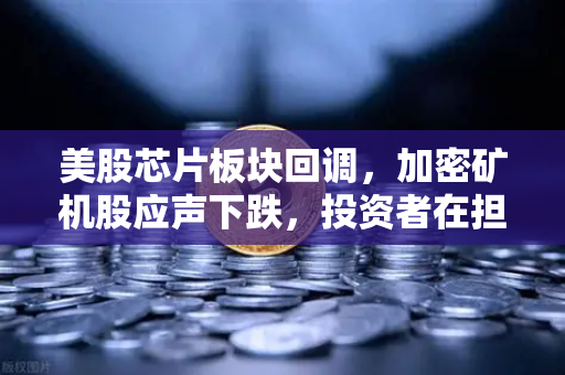 美股芯片板块回调，加密矿机股应声下跌，投资者在担心什么？-第1张图片-欧易交易所