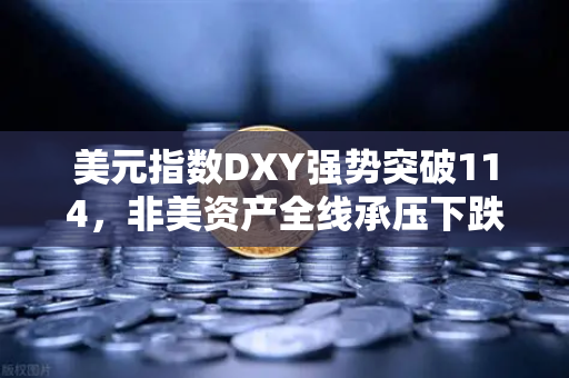 美元指数DXY强势突破114，非美资产全线承压下跌，欧易交易所官网深度解析