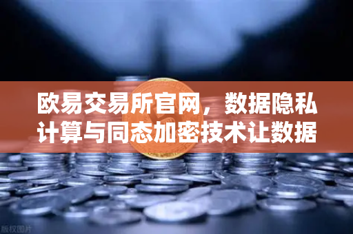 欧易交易所官网，数据隐私计算与同态加密技术让数据可用不可见